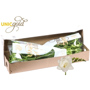 UG Barendse - Belleville box