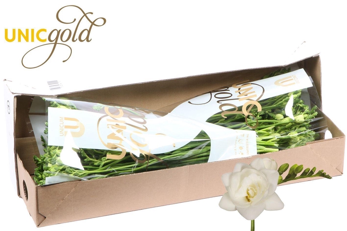 <h4>UG Barendse - Belleville box</h4>