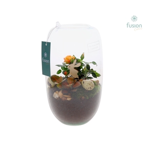 Green Bottle Isabella Medium Pasen met arrangement