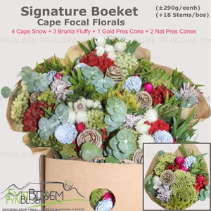 KAAPS GROE GEM IN BS