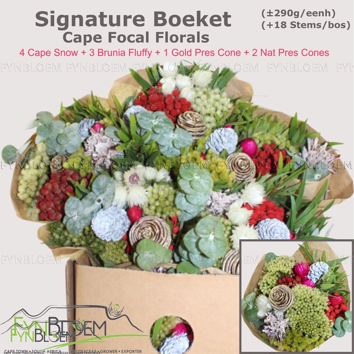 <h4>KAAPS GROE GEM IN BS</h4>