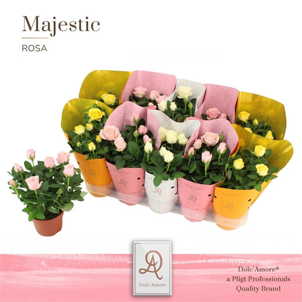 <h4>Potroos Florence Mix P12 Dolc'Amore Majestic Metallic</h4>