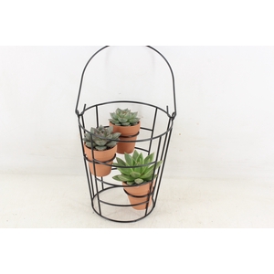 arr2 PL - Emmer frame 3 terra pot 285/6