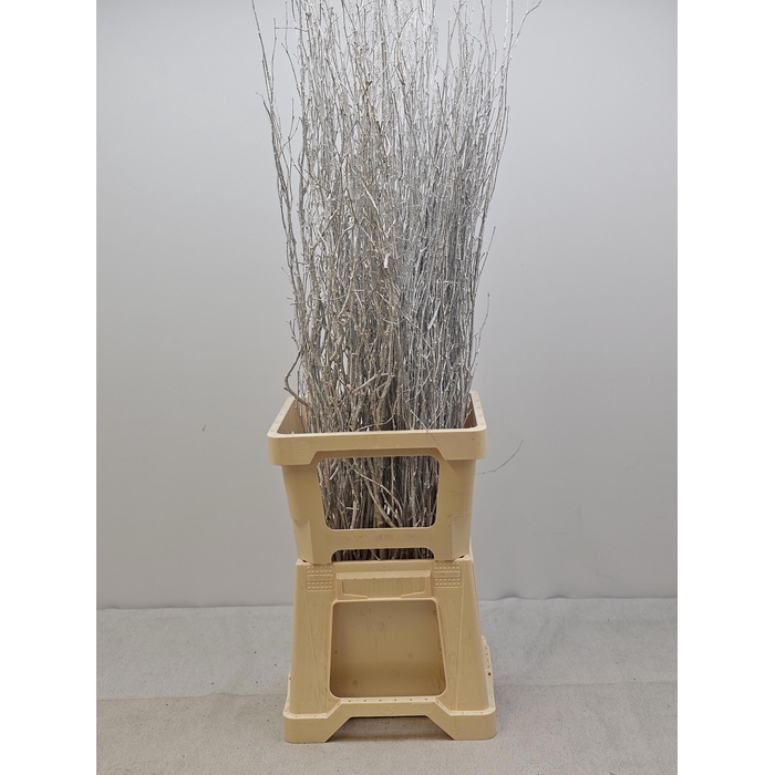 <h4>KERST BETULA PER TAK WIT GLITTER</h4>