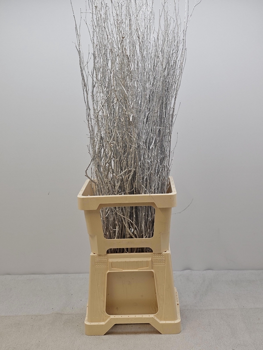 KERST BETULA PER TAK WIT GLITTER