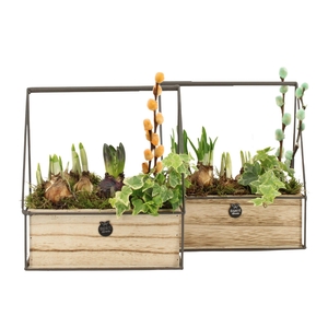 11684: Outdoor spring arrangement