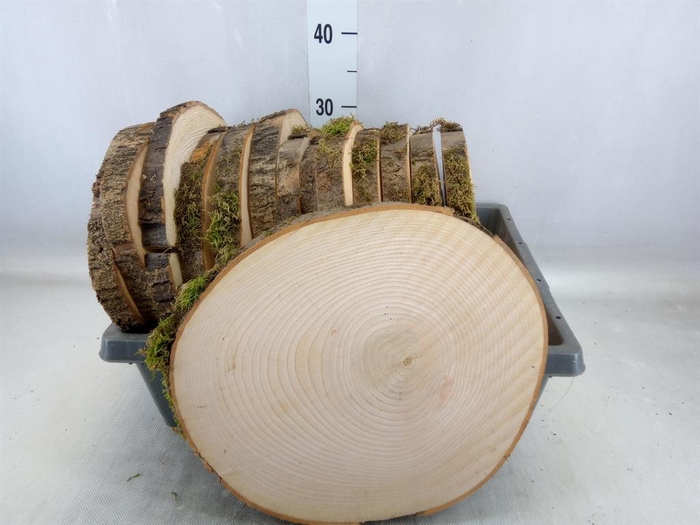 <h4>Hout   ...L%</h4>