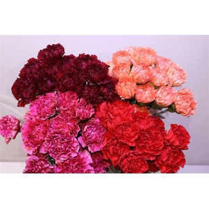 Di St Herfst Mix