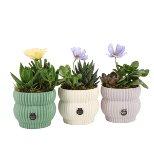 11564: Consideration arrangement