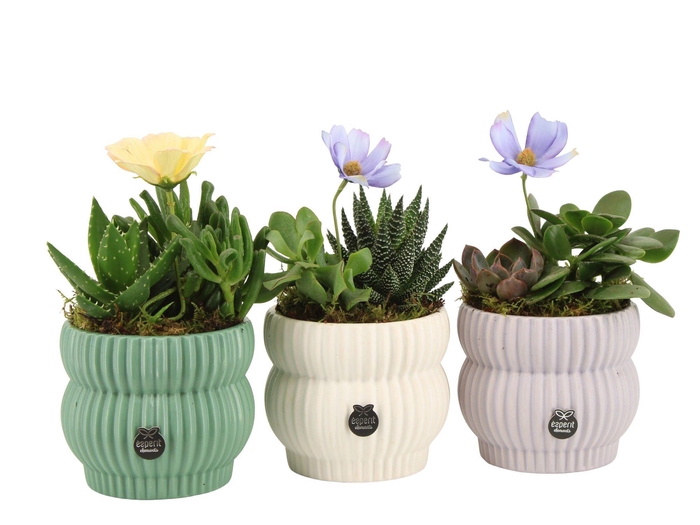 <h4>11564: Consideration arrangement</h4>