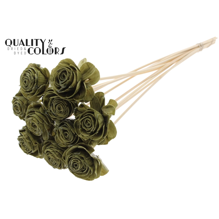 <h4>Shola Beauty Rose 6cm on stem Wax Olive</h4>