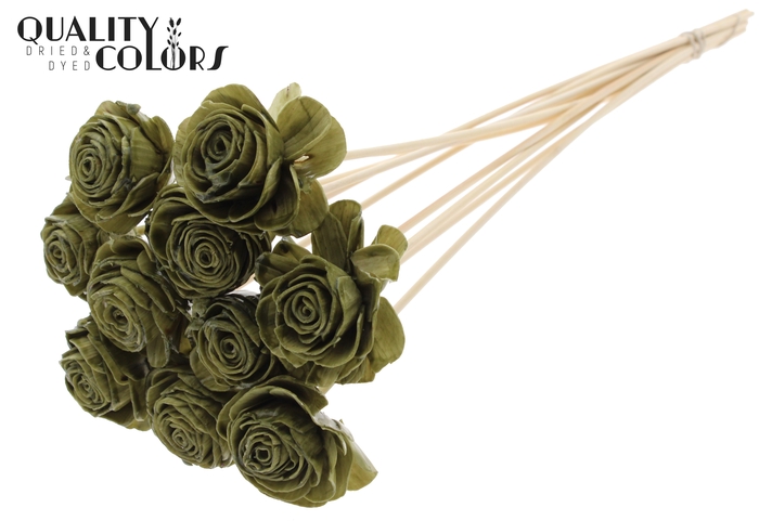 <h4>Shola Beauty Rose 6cm on stem Wax Olive</h4>