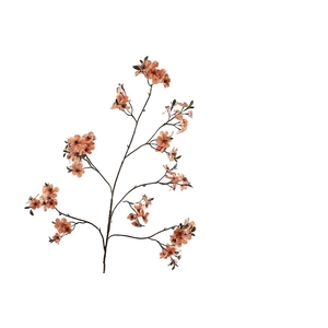 Cherry Blossom Orange