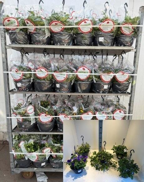 <h4>PERKPL MIXK</h4>