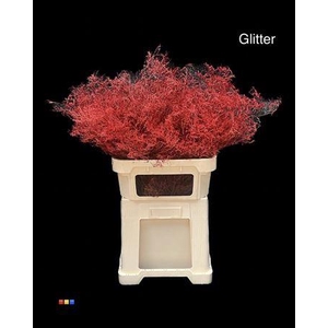 Limonium Red + Glitter Bio