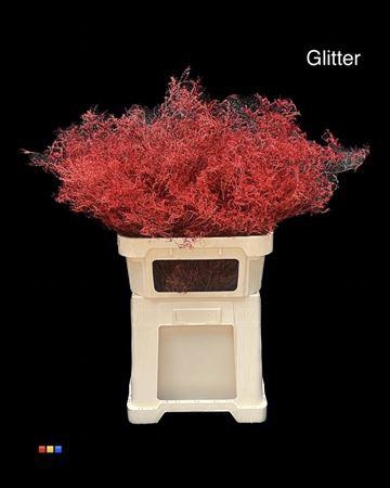<h4>Limonium Red + Glitter Bio</h4>
