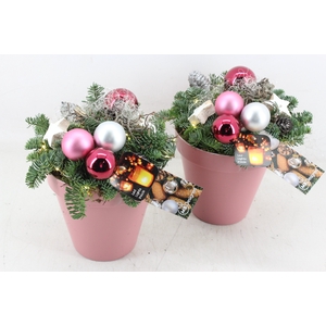 arr5 Kerst MB - Pink kunstst. pot Led x4