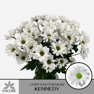 CHR T KENNEDY