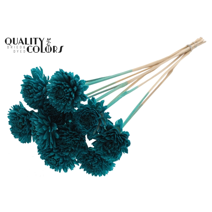 <h4>Shola Zinia 6cm on stem Turquoise</h4>