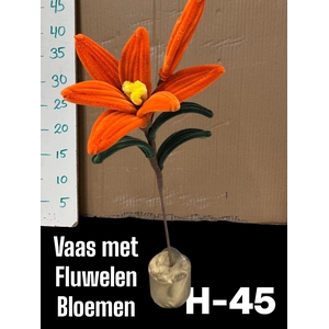 HUIS EN TUINDECO H%