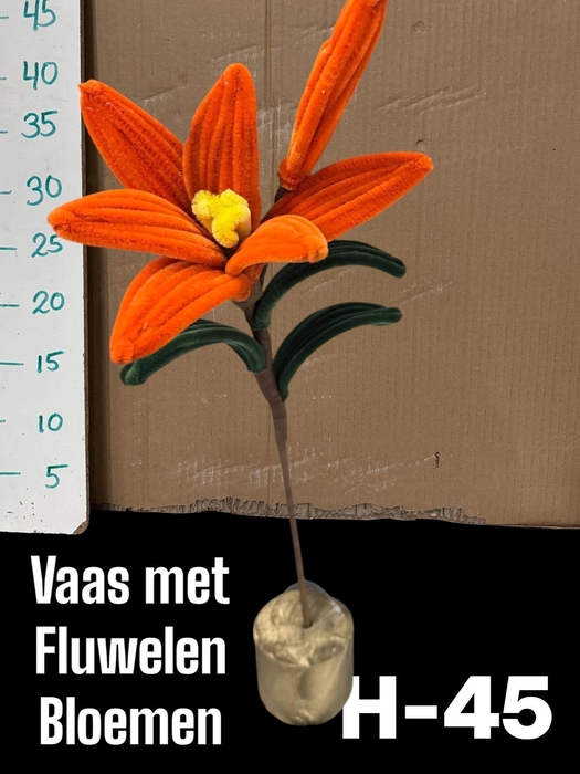 <h4>HUIS EN TUINDECO H%</h4>