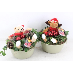 arr2 MB - Zink l.green hed. knuffel mix