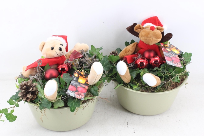 <h4>arr2 MB - Zink l.green hed. knuffel mix</h4>