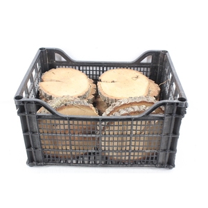 arr3 GB - Eikenschijven rond 16/18cm