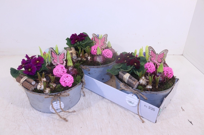 <h4>ARR TUINPLANTEN</h4>