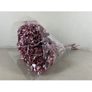 DF Hydrangea Antique Pink