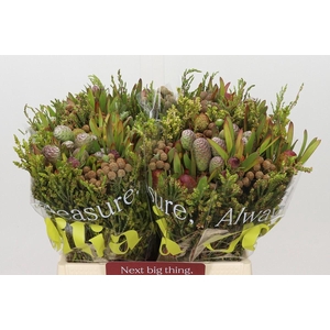 Kaaps Groen Cone Mix Large