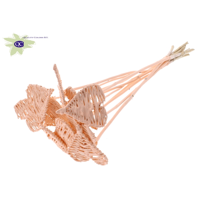 <h4>Lata Heart 8cm on stem Hat type Covered Apricot</h4>