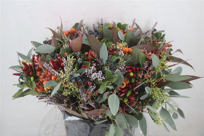 <h4>Bouquet Italie Mixed Berry P Bunch</h4>