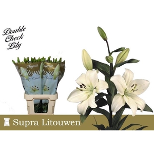 Li La Litouwen