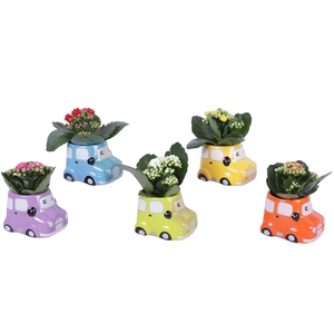 Thank you Teacher Arr. Indoor Ceramic Pot Car Ø09cm 1PP
