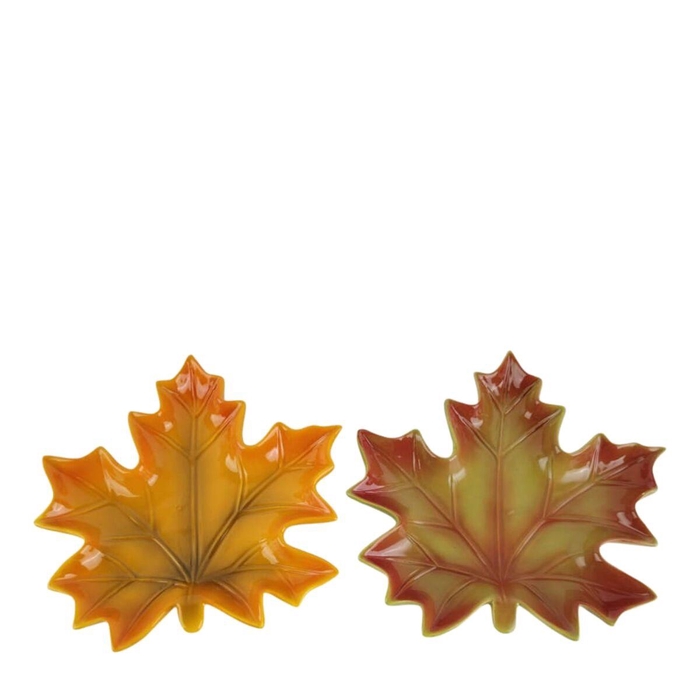 <h4>Herfst Keramiek Leaf bord d21*3cm</h4>