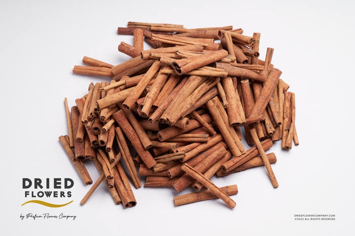 <h4>Dried Deco Cinnamon Sticks 8cm</h4>