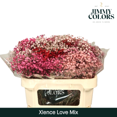 <h4>Gyps Xlence l70 Love mix</h4>