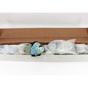 Hydr M Therese Blue In Box X12