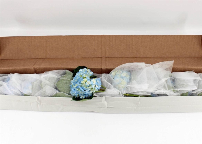 <h4>Hydr M Therese Blue In Box X12</h4>