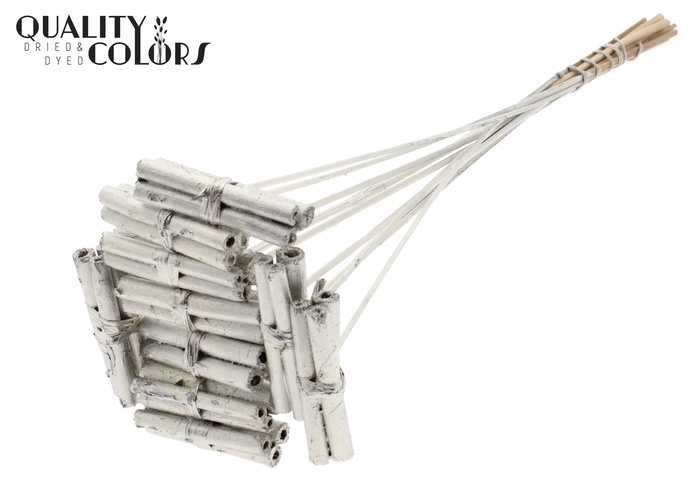 Jute Stick Posy on stem Platina