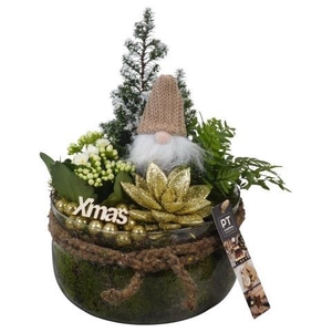 Opm Pt PTCHG5734 X-mas Gold Glas Schaal