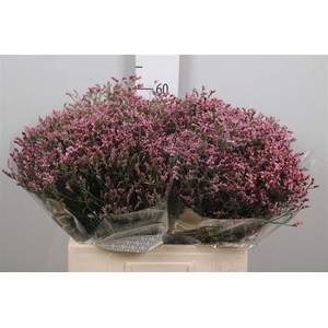 Lim Sin Tiffany Diamond