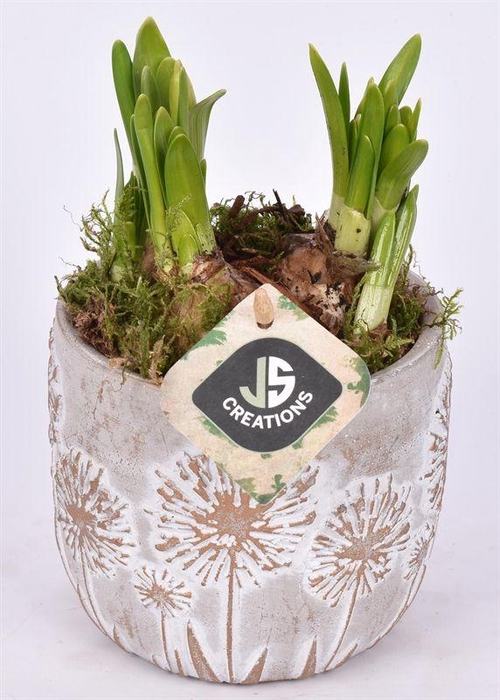 <h4>Cement pot bloemdecor 11,5cm</h4>