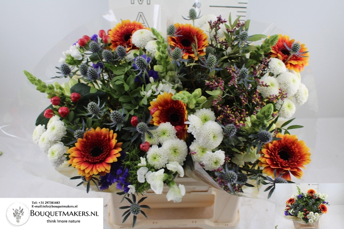 <h4>GEM BOEKET OV</h4>