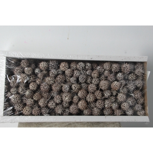 Amberbaum Box Whitewash(1 kg)