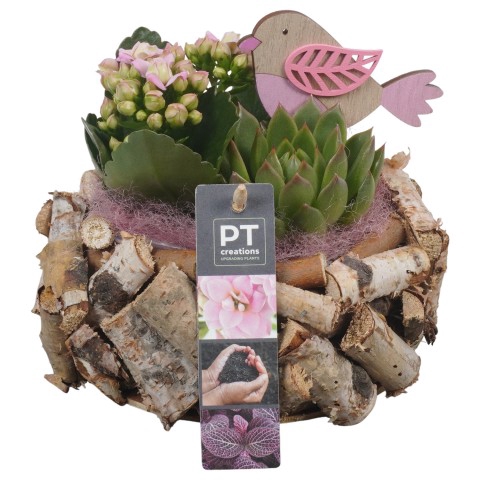 <h4>PTIB6554 Arrangement Indoor in houten bak</h4>