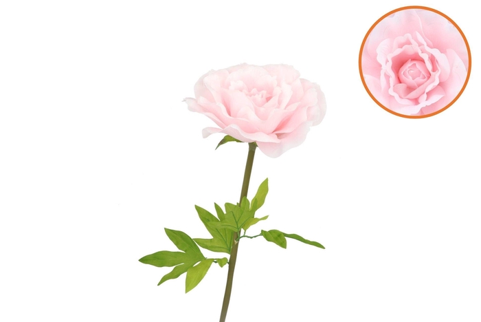 Silk Amazing Rose Beauty Light Pink Xl 40x110cm