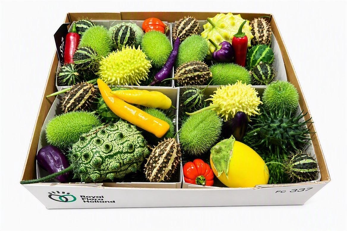 <h4>Sier Cucumis Mix Spec X4 Holl</h4>