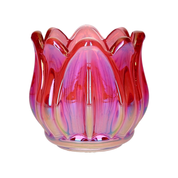 <h4>T-lighthldr Elora d6.7\\7xh6.7 cherry+pearl</h4>